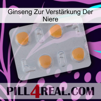 Ginseng Zur Verstärkung Der Niere 24